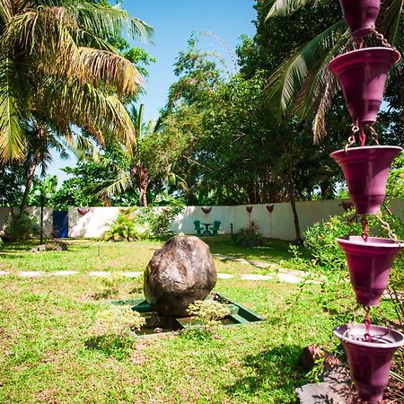 Dream Villa Mirissa Εξωτερικό φωτογραφία